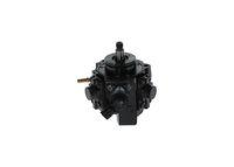 Bosch 0 445 010 250 Radialkolbenpumpe