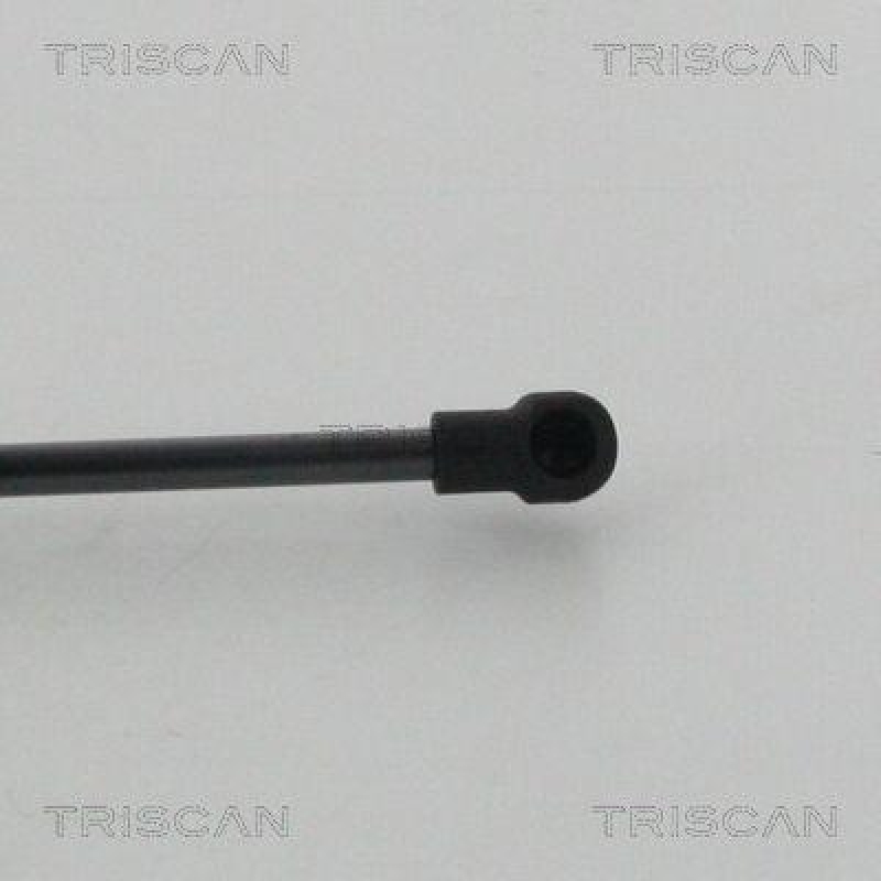 TRISCAN 8710 14254 Gasfeder Hinten für Nissan