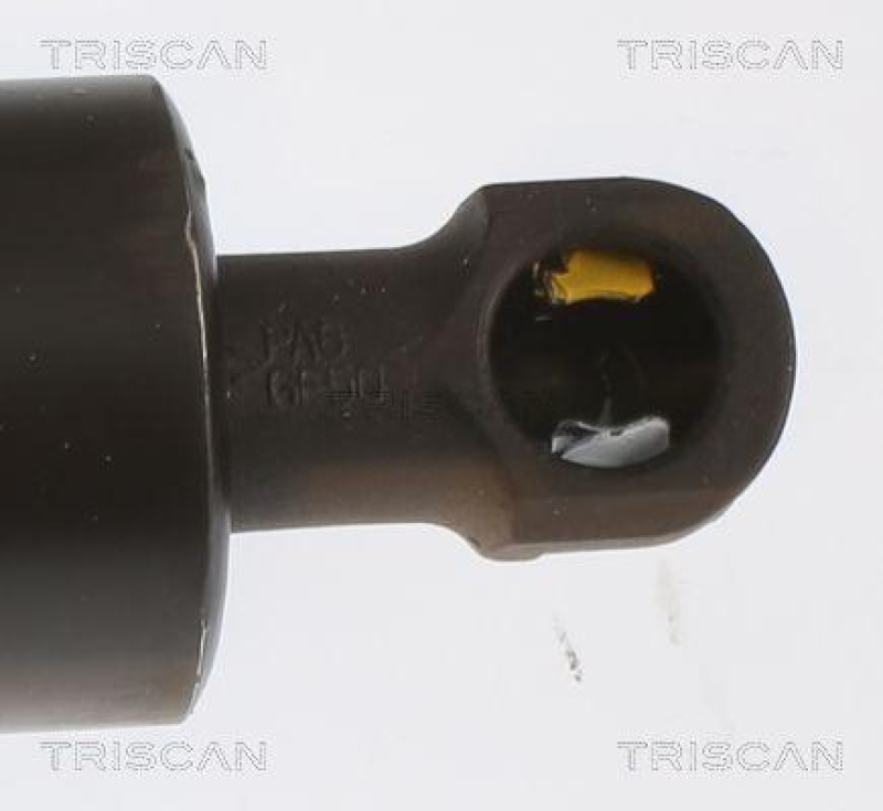 TRISCAN 8710 14262 Gasfeder Hinten für Nissan Nv200