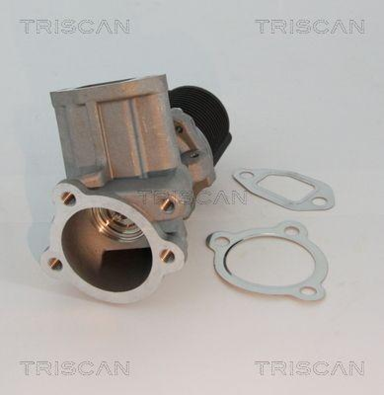 TRISCAN 8813 10003 Agr Ventil f&uuml;r Psa/Fiat/Gm