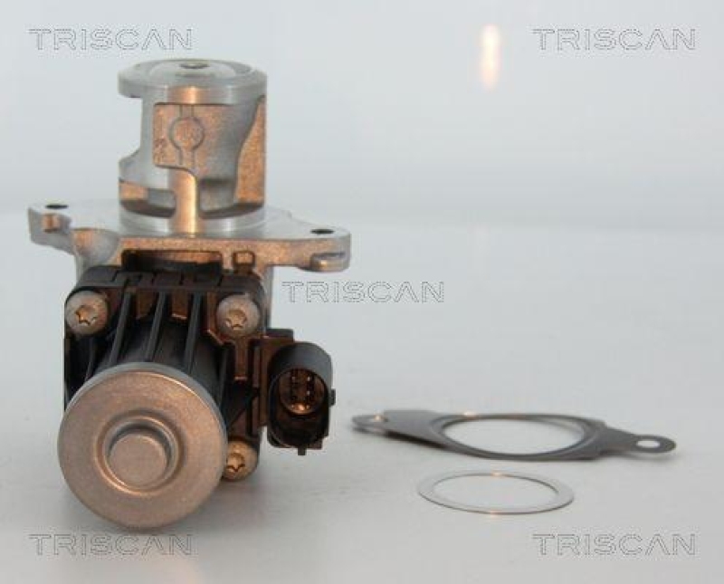TRISCAN 8813 10004 Agr Ventil f&uuml;r Psa/Fiat/Gm