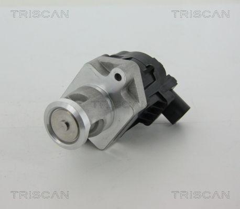 TRISCAN 8813 10006 Agr Ventil f&uuml;r Psa/Fiat/Gm
