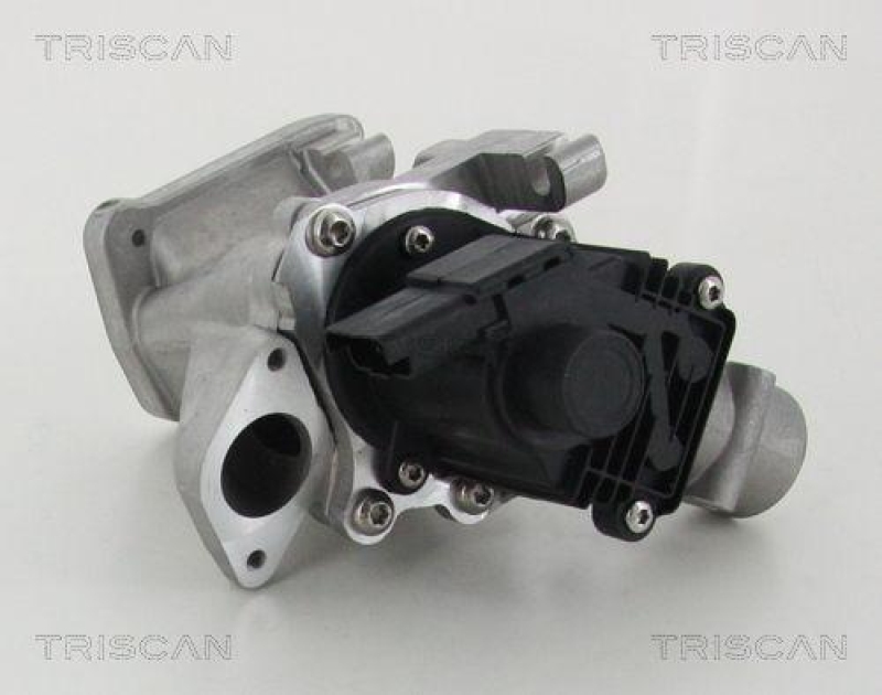 TRISCAN 8813 10007 Agr Ventil f&uuml;r Ford/Volvo/Mazda