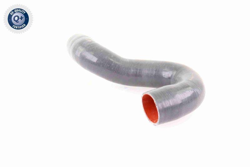 VAICO V10-3784 Ladeluftschlauch f&uuml;r VW