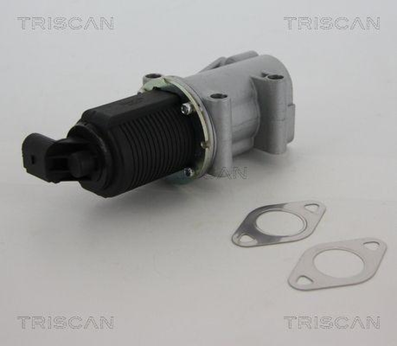 TRISCAN 8813 10015 Agr Ventil f&uuml;r Opel/Fiat/Gm
