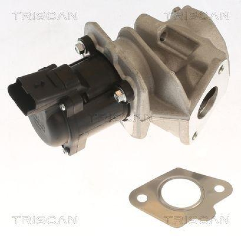 TRISCAN 8813 10018 Agr Ventil f&uuml;r Ford, Volvo, Mazda