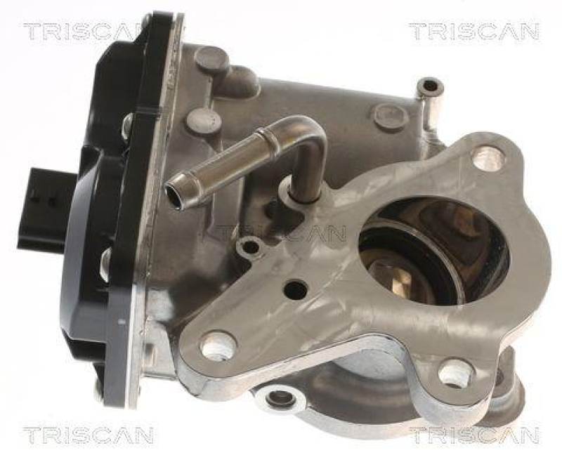 TRISCAN 8813 10116 Agr Ventil f&uuml;r Opel, Renault