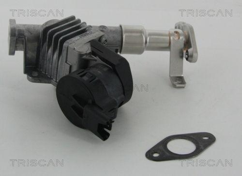 TRISCAN 8813 11006 Agr Ventil f&uuml;r Bmw