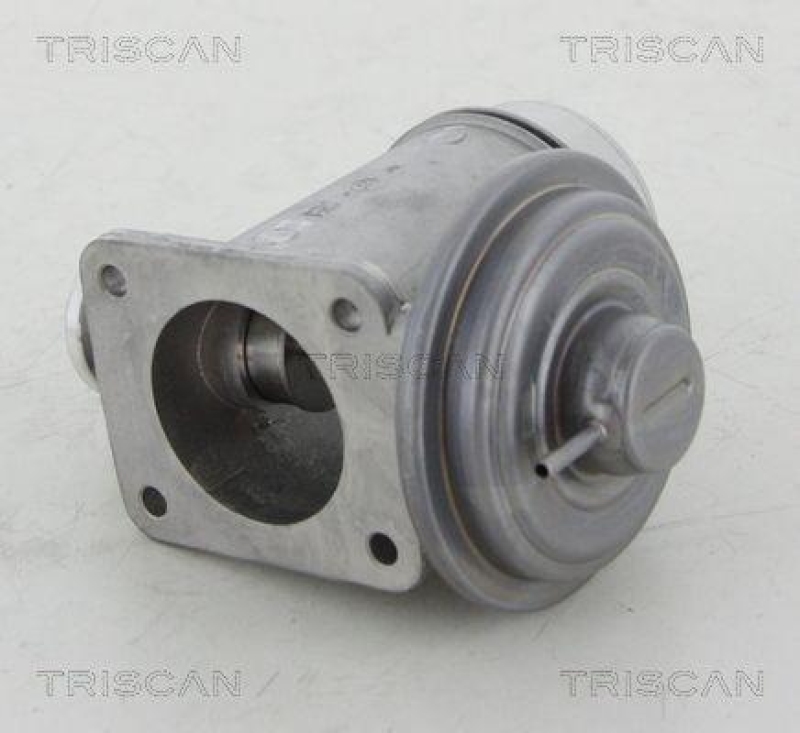 TRISCAN 8813 11102 Agr Ventil f&uuml;r Bmw