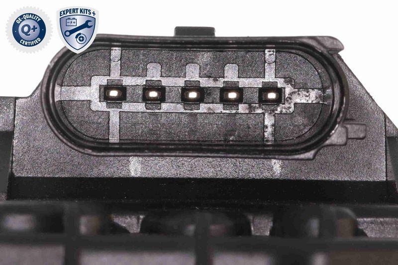 VAICO V10-50114 Wasserpumpe + Zahnriemensatz mit Dichtung, Zahnriemen und Schrauben für VW