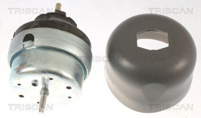 TRISCAN 8505 29177 Motoraufh&auml;ngung f&uuml;r Audi, Seat, Skoda, Vw