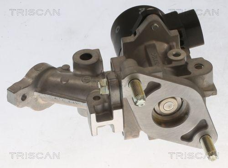 TRISCAN 8813 13067 Agr Ventil f&uuml;r Toyota Prius,Auris,Ct200