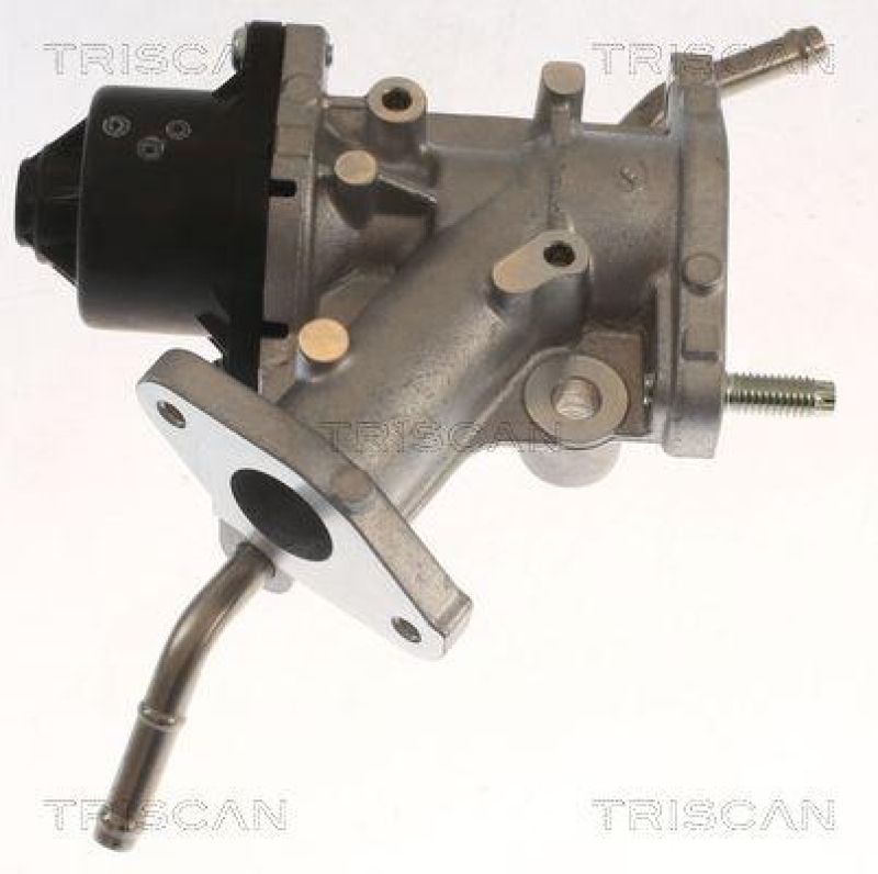 TRISCAN 8813 13068 Agr Ventil f&uuml;r Toyota