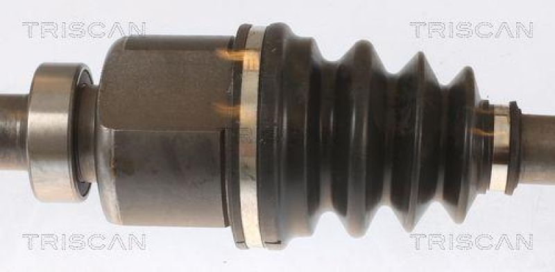 TRISCAN 8540 25688 Antriebswelle für Dacia, Renault