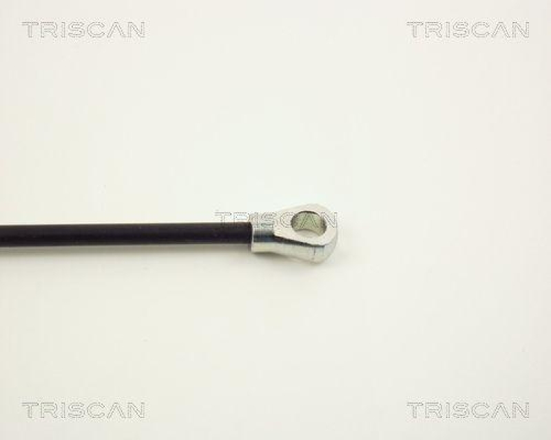 TRISCAN 8710 1601 Gasfeder Hinten f&uuml;r Ford Fiesta I