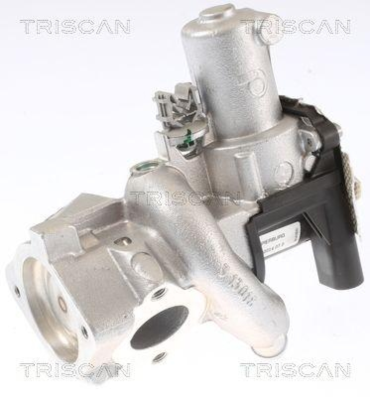 TRISCAN 8813 14006 Agr Ventil f&uuml;r Nissan, Infiniti