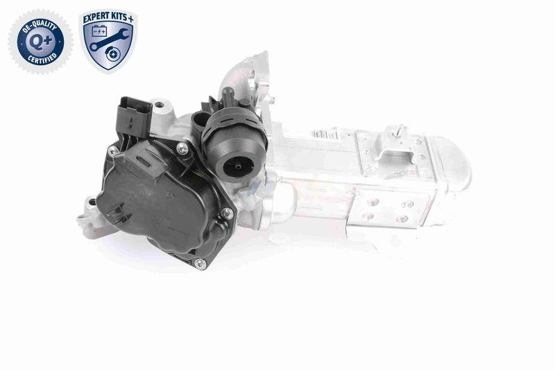 VEMO V22-63-0004 AGR-Ventil mit Dichtung, mit K&uuml;hler f&uuml;r CITRO&Euml;N
