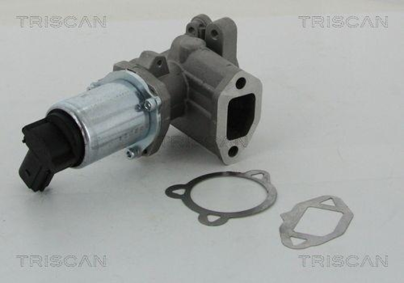 TRISCAN 8813 15052 Agr Ventil f&uuml;r Fiat/Psa