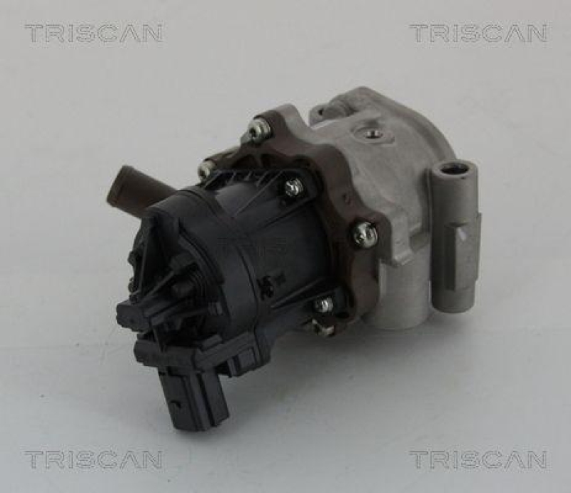 TRISCAN 8813 15208 Agr Ventil f&uuml;r Fiat