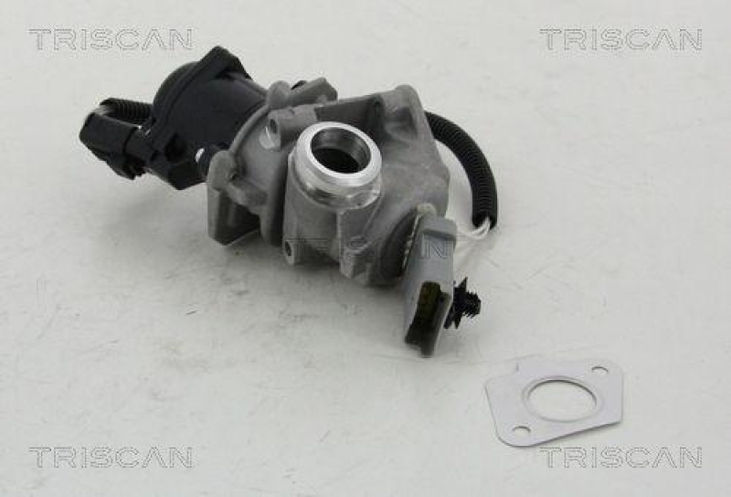 TRISCAN 8813 16008 Agr Ventil f&uuml;r Ford/Volvo/Mazda