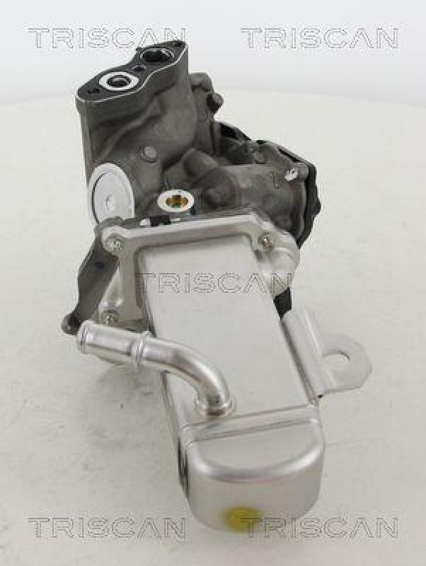 TRISCAN 8813 16014 Agr Ventil f&uuml;r Ford/Volvo/Mazda