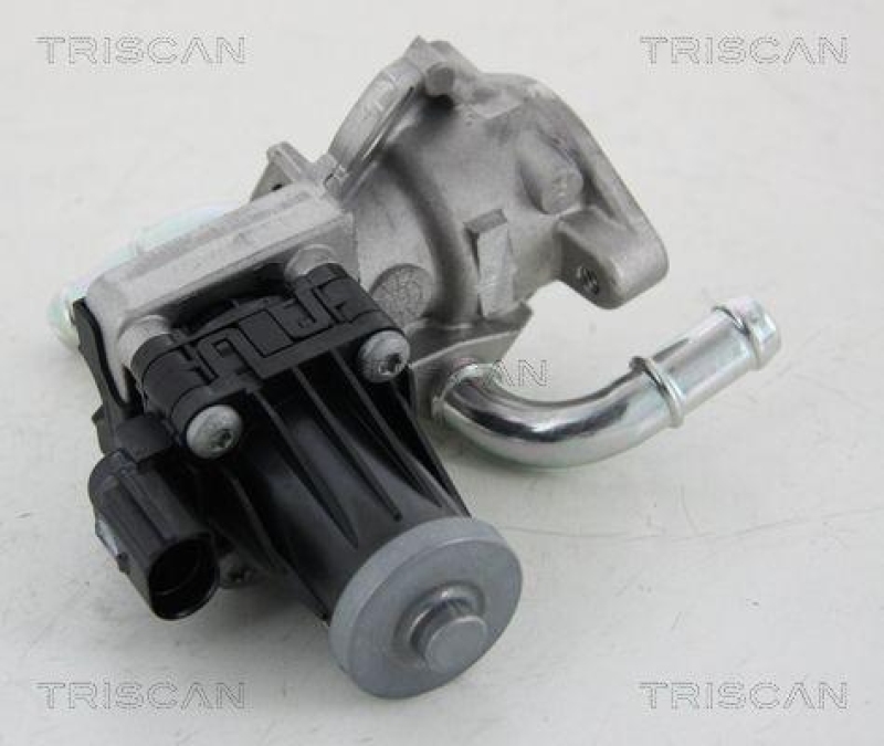 TRISCAN 8813 16036 Agr Ventil f&uuml;r Ford/Volvo/Mazda