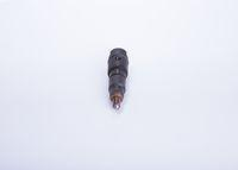 Bosch 0 432 193 416 D&uuml;senhalterkombination