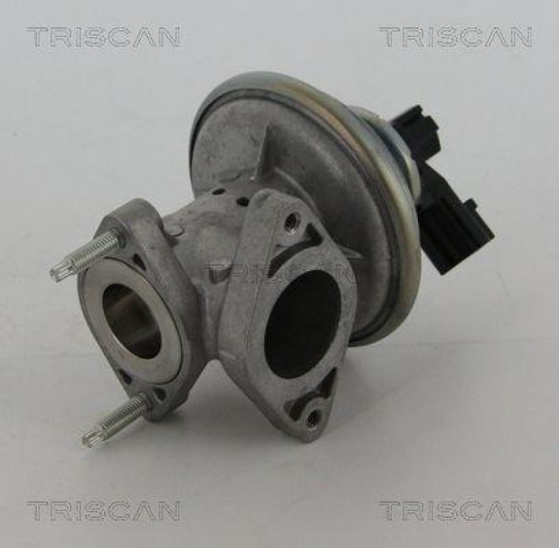 TRISCAN 8813 16043 Agr Ventil f&uuml;r Ford/Volvo/Mazda