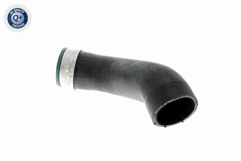VAICO V10-3814 Ladeluftschlauch f&uuml;r VW