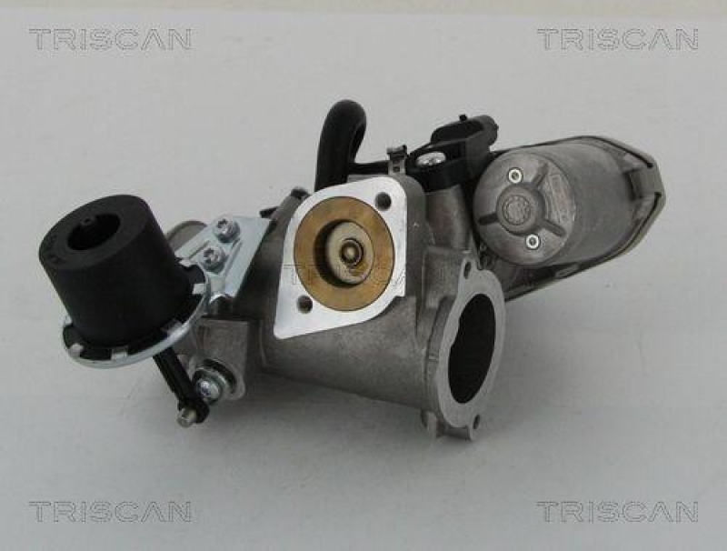 TRISCAN 8813 16202 Agr Ventil f&uuml;r Ford
