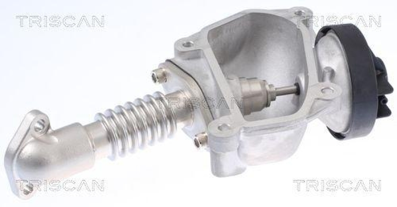 TRISCAN 8813 23024 Agr Ventil f&uuml;r Mercedes