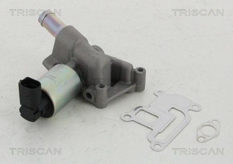 TRISCAN 8813 24003 Agr Ventil f&uuml;r Opel/Fiat/Gm