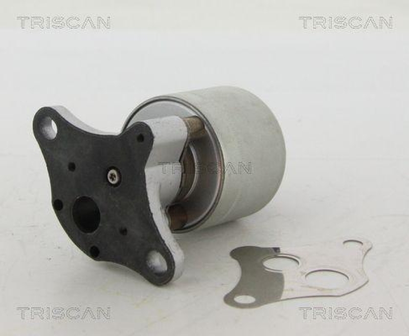 TRISCAN 8813 24004 Agr Ventil f&uuml;r Opel/Saab