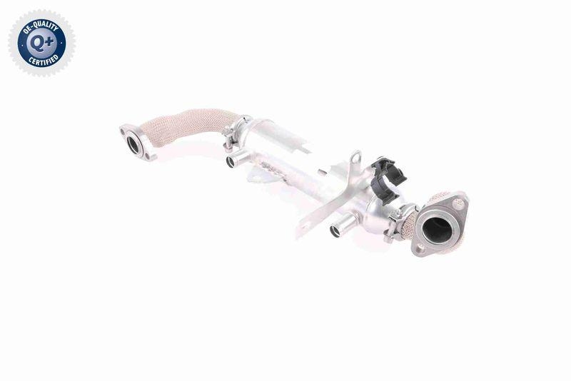 VEMO V24-63-0020 K&uuml;hler, Abgasr&uuml;ckf&uuml;hrung f&uuml;r FIAT