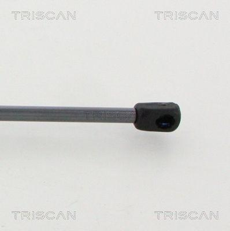 TRISCAN 8710 16273 Gasfeder Hinten f&uuml;r Ford Transit