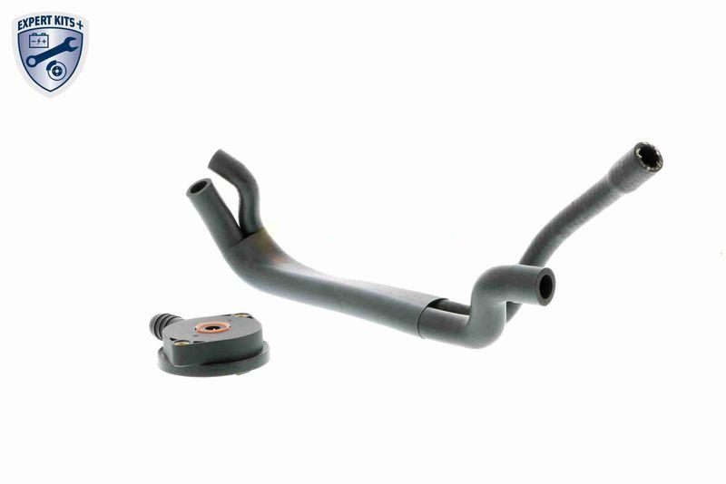 VAICO V20-1920 Reparatursatz, Kurbelgehäuseentlüftung Kurbelgehäuseentlüftung für BMW