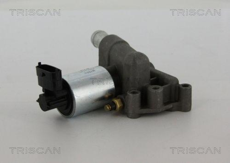 TRISCAN 8813 24102 Agr Ventil f&uuml;r Opel