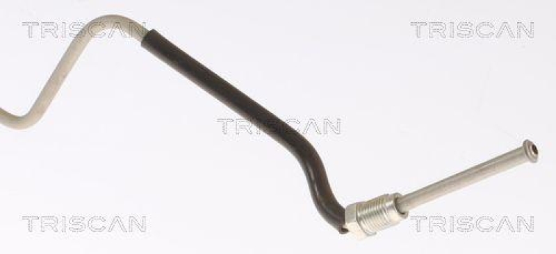 TRISCAN 8150 25285 Bremsschlauch Hinten f&uuml;r Renault