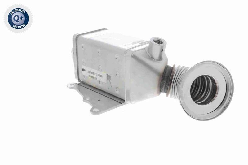 VEMO V24-63-0023 K&uuml;hler, Abgasr&uuml;ckf&uuml;hrung f&uuml;r FIAT