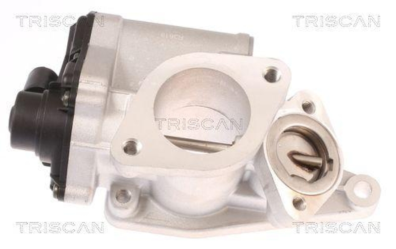 TRISCAN 8813 25012 Agr Ventil f&uuml;r Renault/Dacia