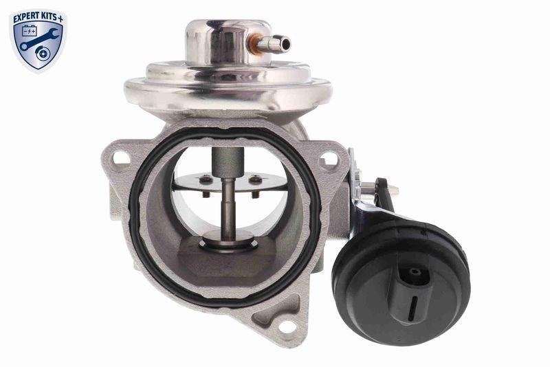 VEMO V10-63-0021-1 AGR-Ventil Membranventil Pneumatisch, mit Dichtung f&uuml;r AUDI