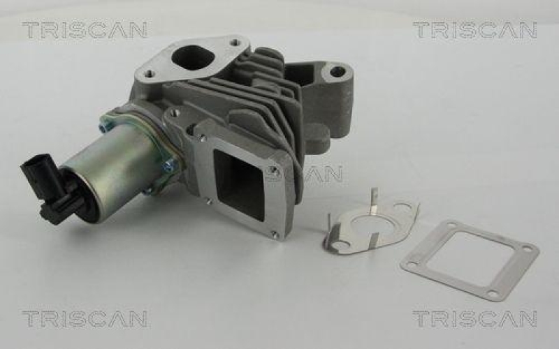 TRISCAN 8813 25100 Agr Ventil f&uuml;r Renault