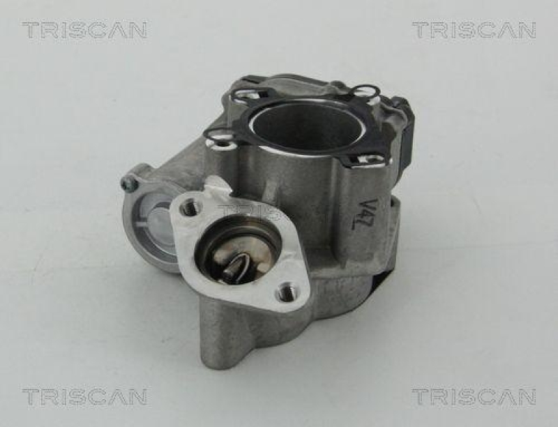 TRISCAN 8813 25203 Agr Ventil f&uuml;r Fiat