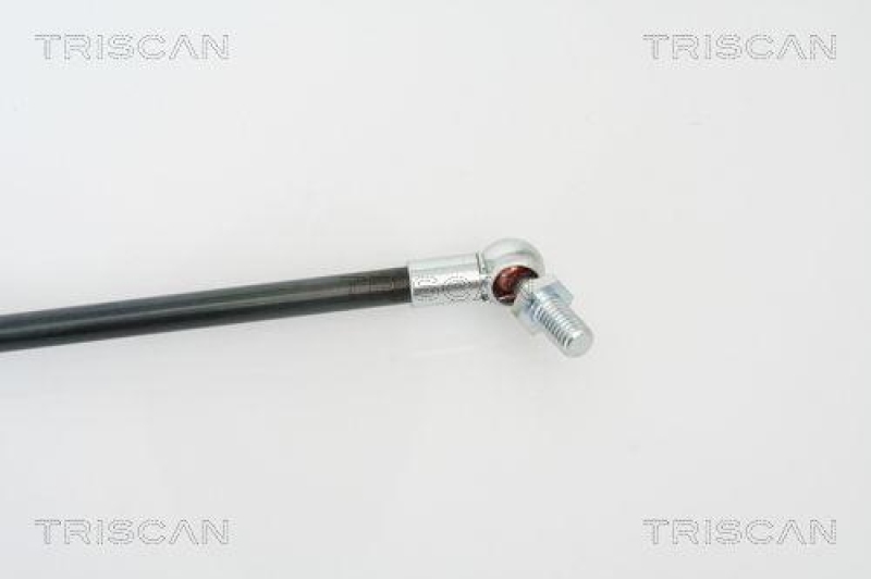 TRISCAN 8710 69217 Gasfeder Hinten f&uuml;r Suzuki Swift Iii Sg