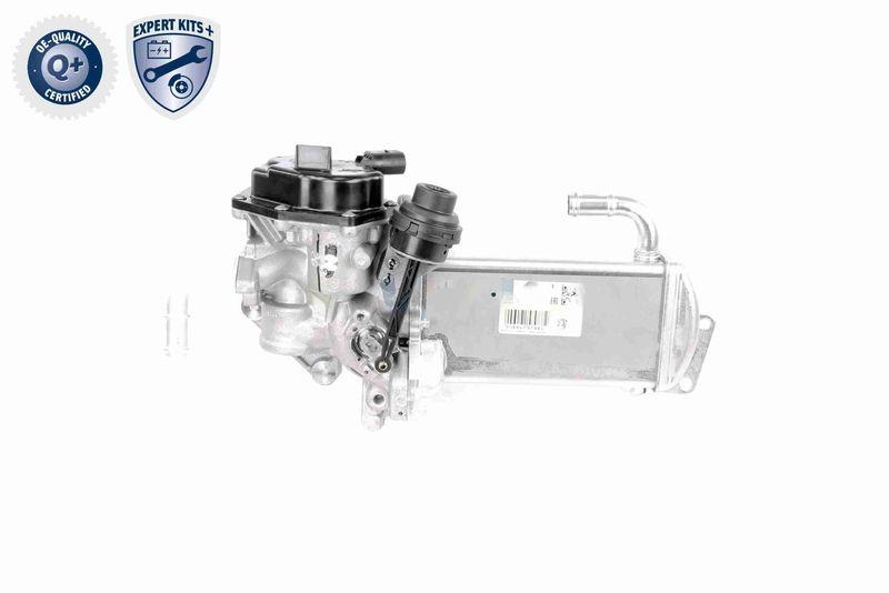 VEMO V10-63-0050 AGR-Ventil mit K&uuml;hler, ohne Dichtung f&uuml;r VW