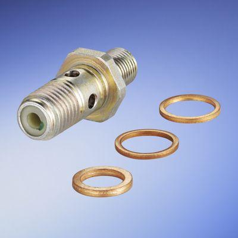 BOSCH 1 587 010 536 Reparatursatz Kraftstoffpumpe