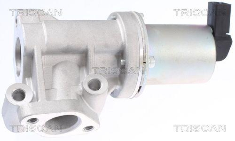 TRISCAN 8813 43009 Agr Ventil f&uuml;r Hyundai/Kia