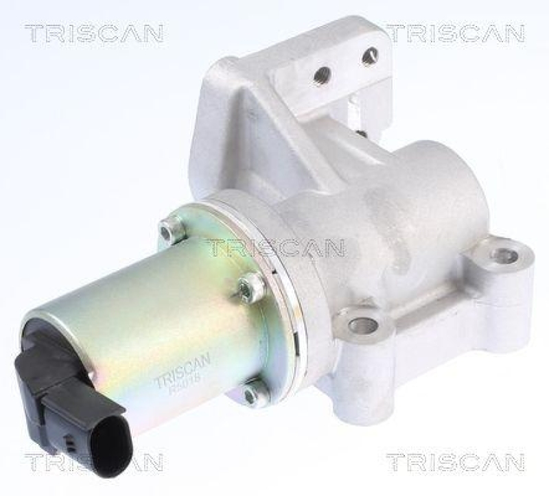 TRISCAN 8813 43015 Agr Ventil f&uuml;r Hyundai/Kia