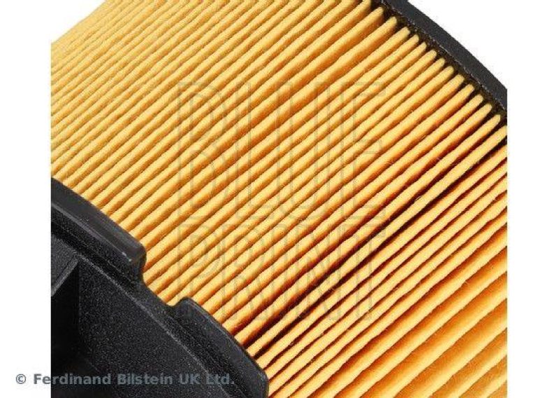 BLUE PRINT ADT32370 Kraftstofffilter mit Dichtring für Peugeot