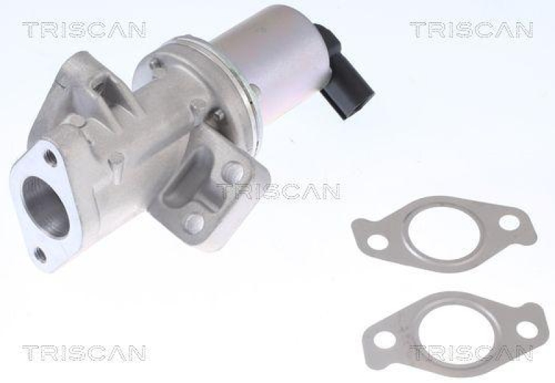 TRISCAN 8813 43024 Agr Ventil f&uuml;r Ssangyong